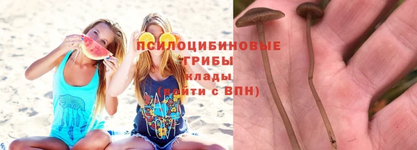 дживик Вязники