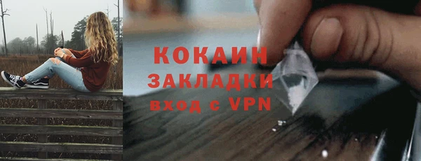 ECSTASY Гусь-Хрустальный