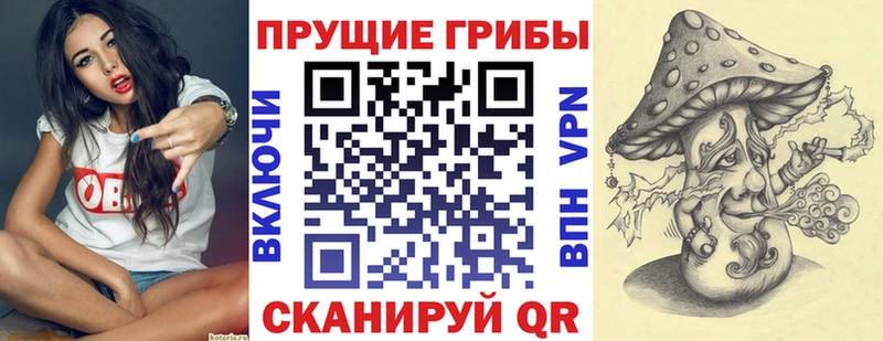 KRAKEN ССЫЛКА  Завитинск  Псилоцибиновые грибы Psilocybe  где можно купить  